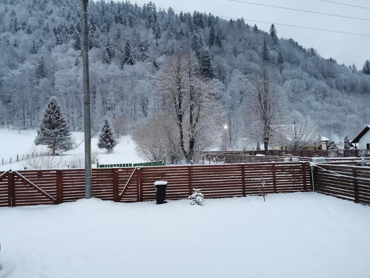 Cabana Lucia Tarcau Экстерьер фото